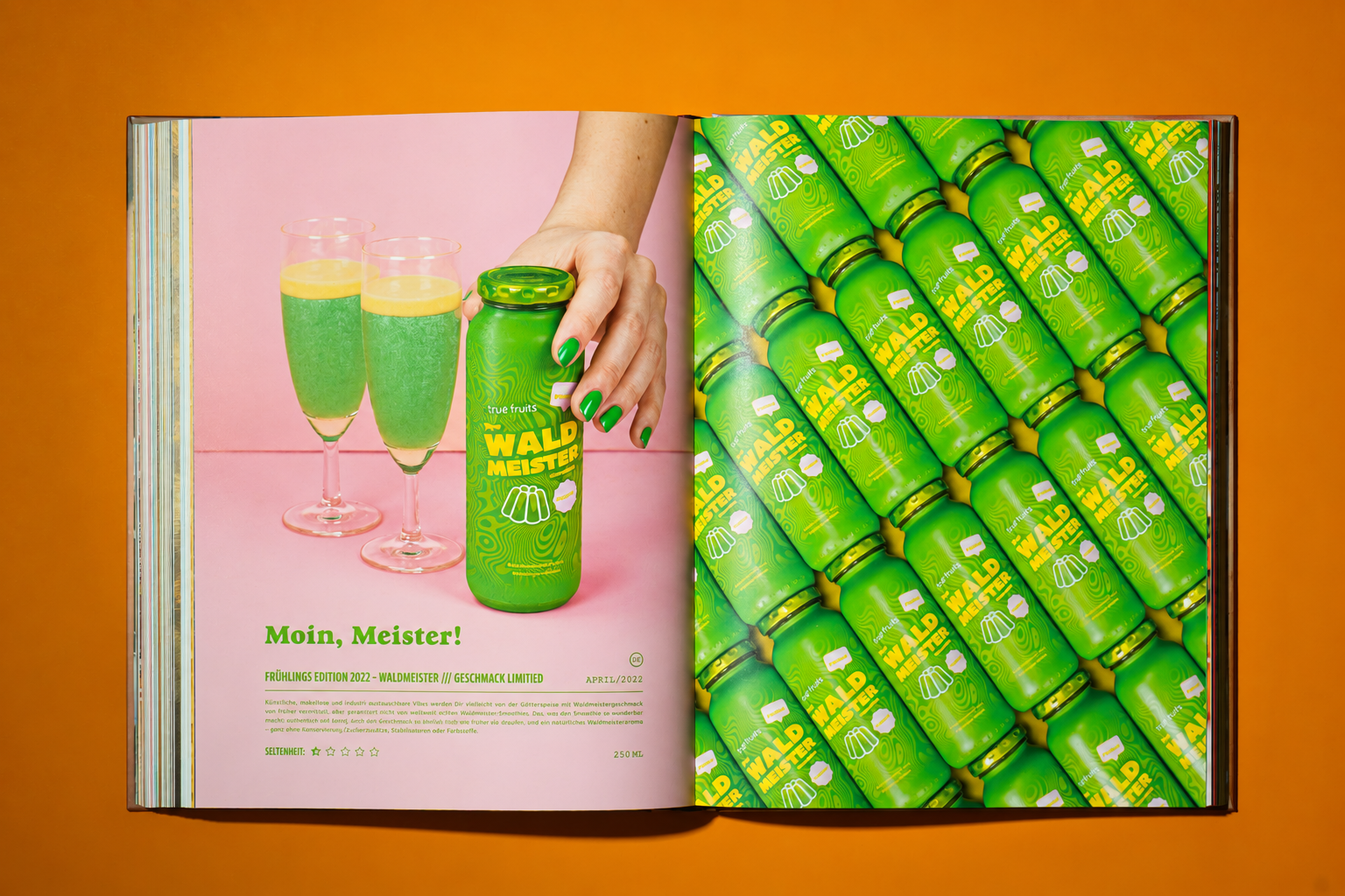 true fruits Buch "Maketing für´n Arsch"