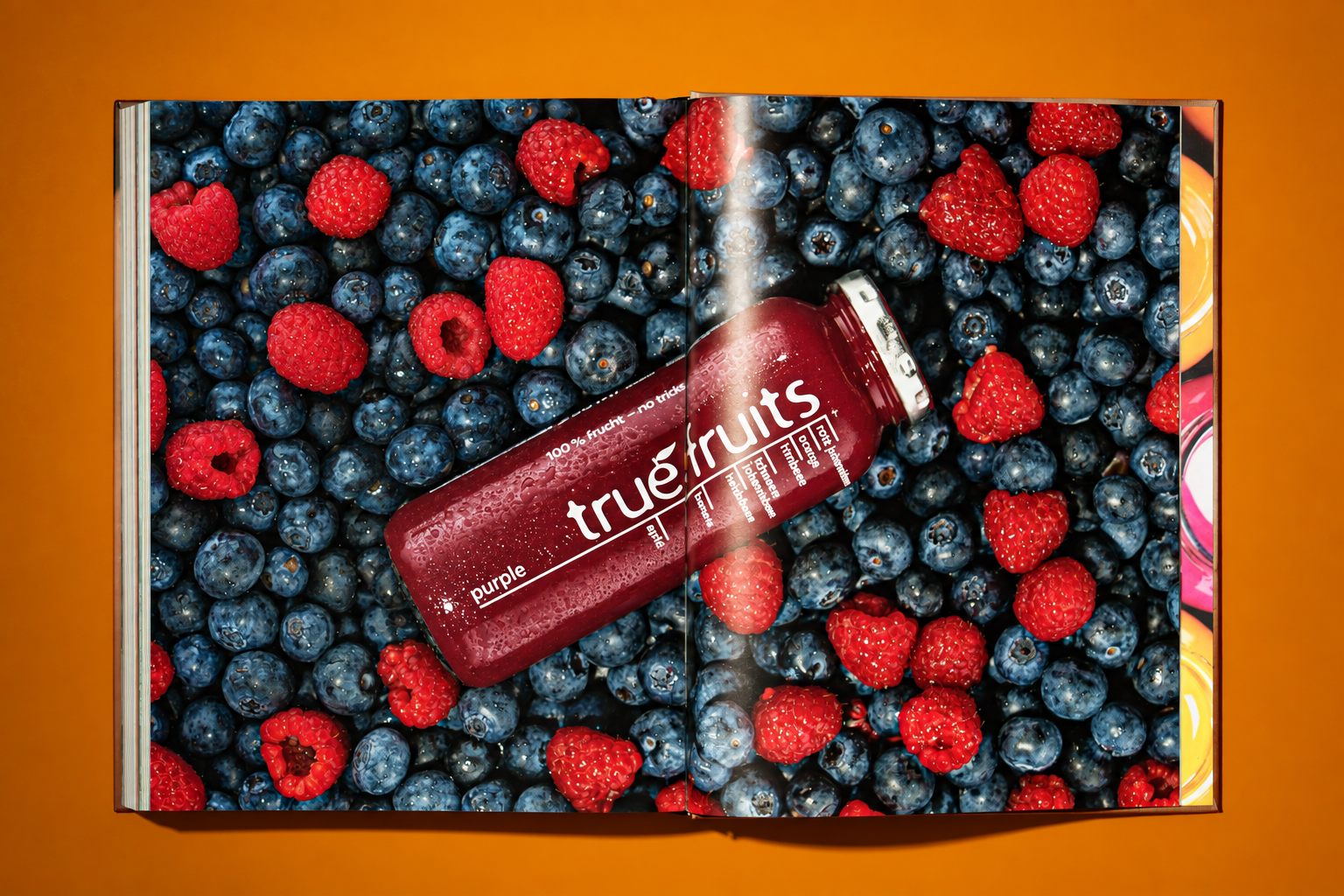true fruits Buch "Maketing für´n Arsch"