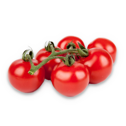 Tomate