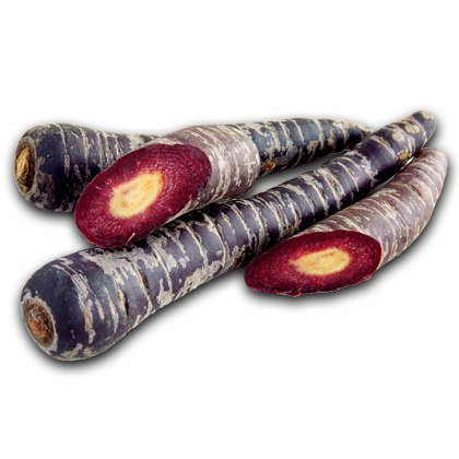 Schwarze Karotte